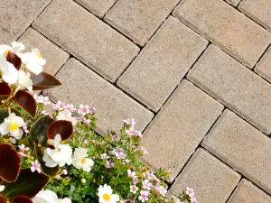 Slane - 50mm Standard